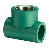 Tee hembra Fusión-Rosca metálica